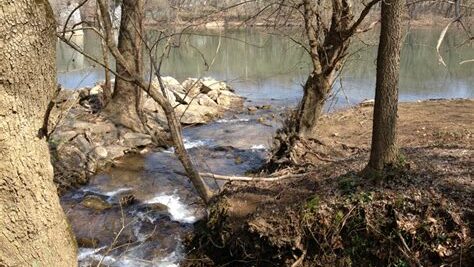 Town Run at the Potomac