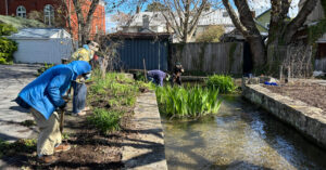 Town Run Clean-Up