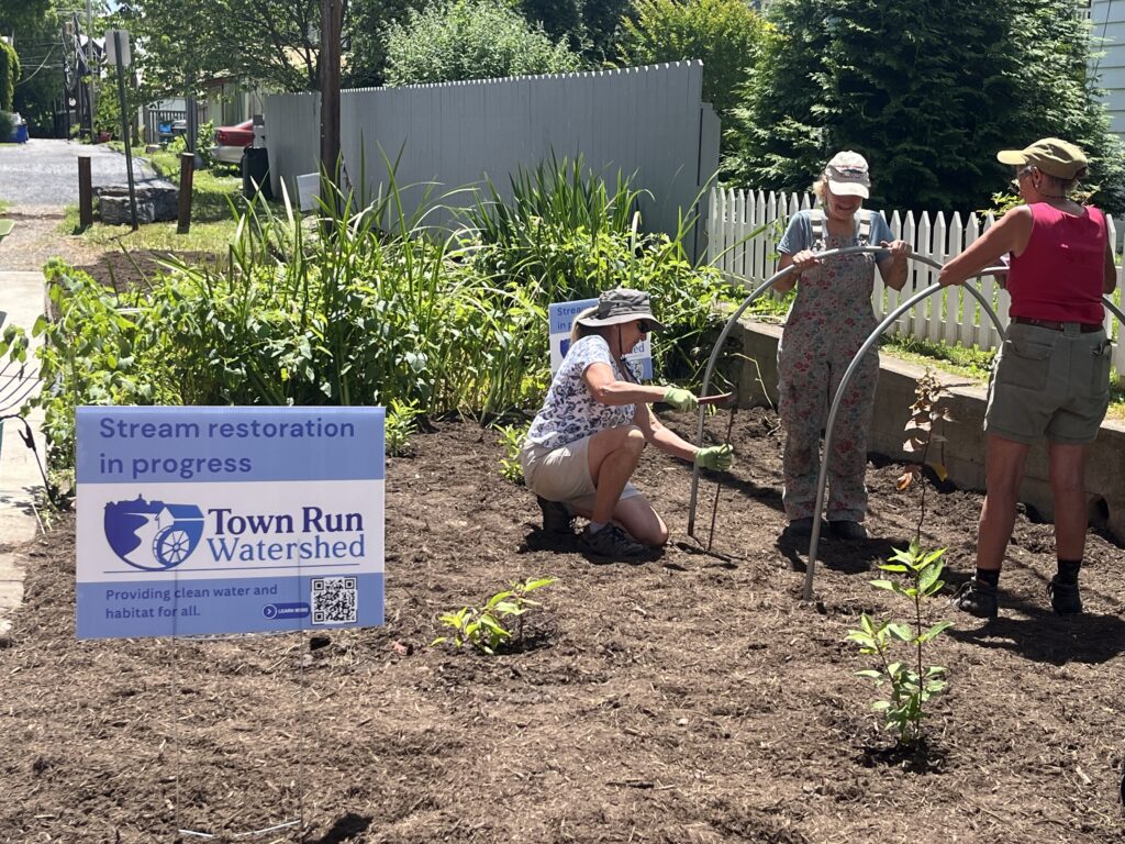 planting at Town Run